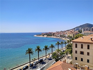 t2 à la location -   20000  AJACCIO, surface 50 m2 location t2 - UBI438018593